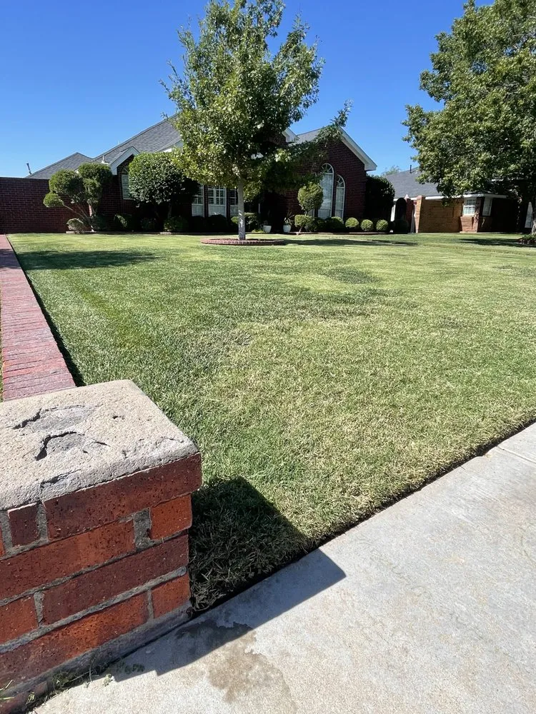 Local yard cleanup service in Odessa, TX - Medinas Cutting