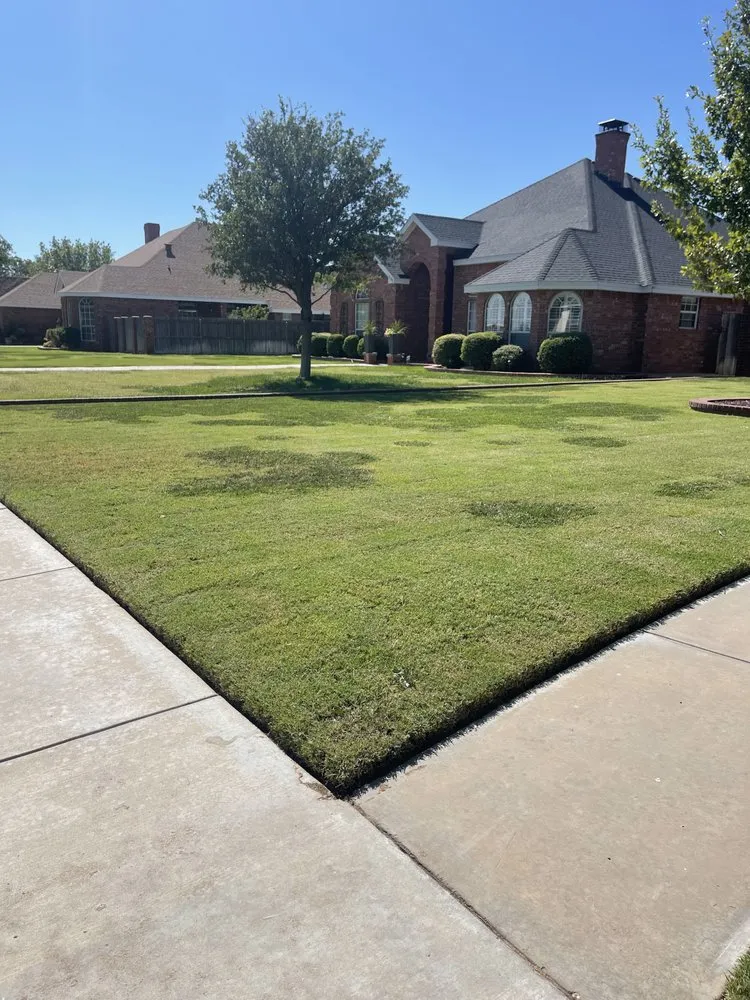 Reliable landscape design in Odessa, TX - Medinas Cutting