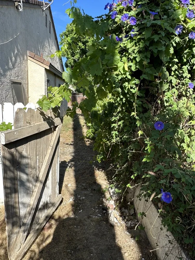 Local landscape installation in Pomona, CA - Medina's Gardening