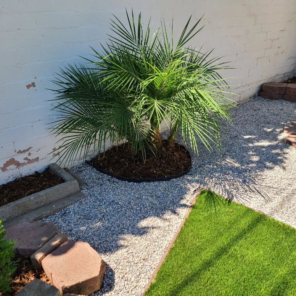 Reliable garden landscaping in Temple City, CA - Medina's Gardening
