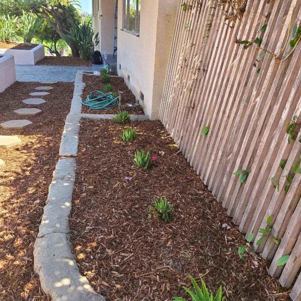 Local landscape installation for beautiful yards in Temple City, CA by Medina's Gardening