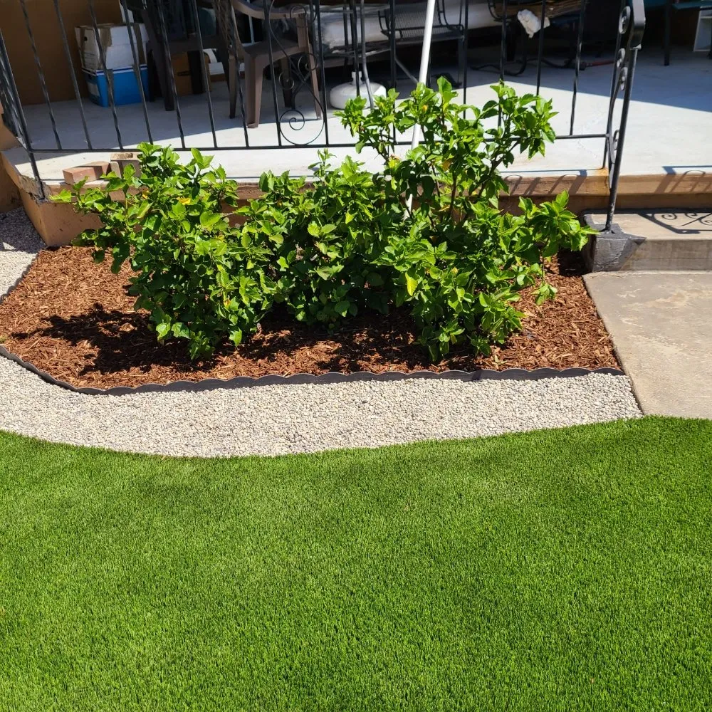 Trusted garden landscaping in Temple City, CA - Medina's Gardening