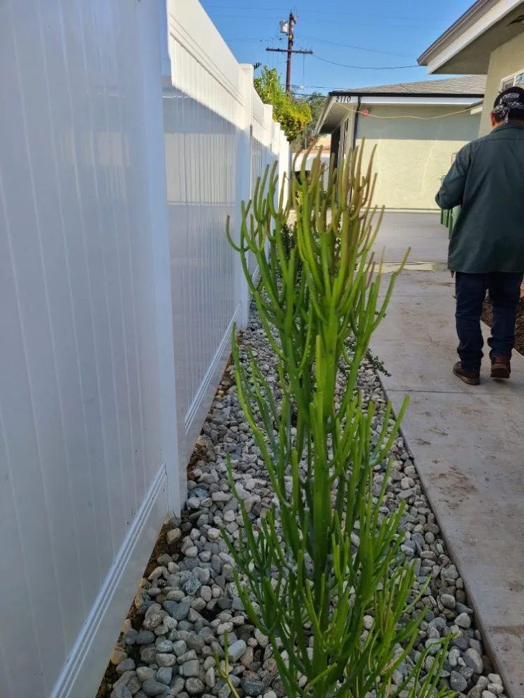 Trusted residential landscaping experts serving Temple City, CA - Medina's Gardening