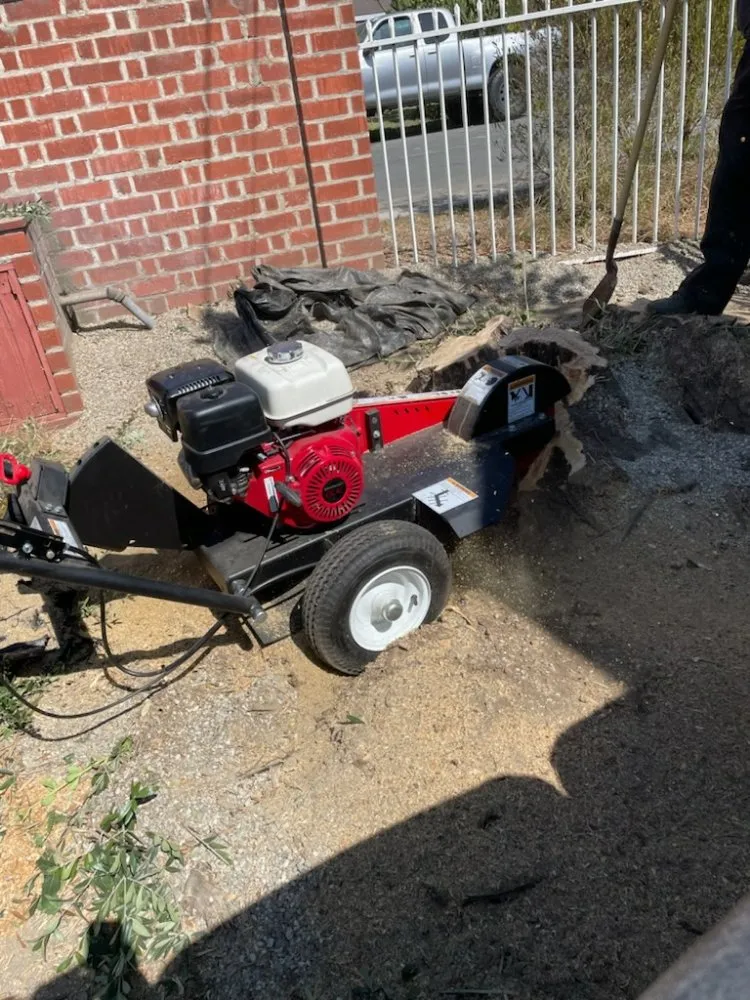 Affordable lawn care service near you in Temple City, CA by Medina's Gardening