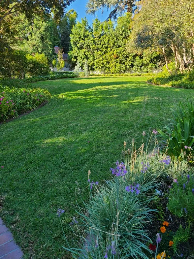 Reliable landscape design in Temple City, CA - Medina's Gardening