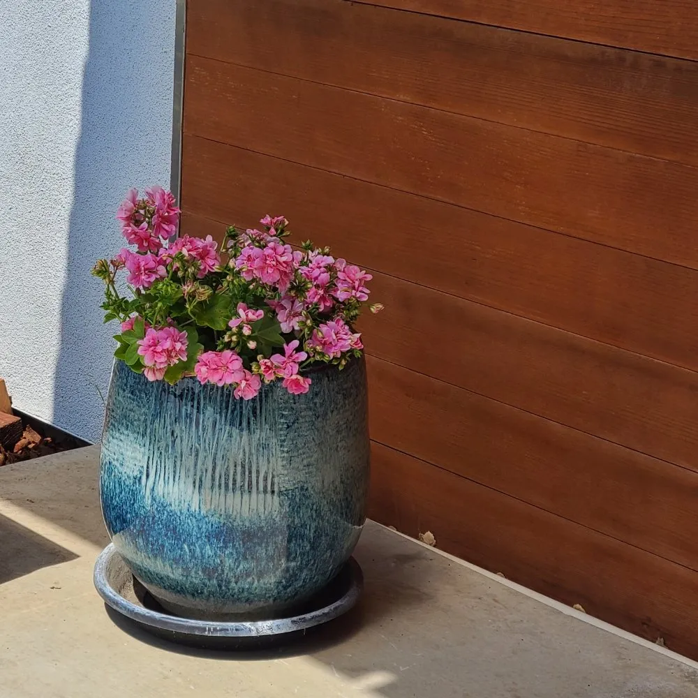 Top-rated residential landscaping for outdoor upgrades across Temple City, CA - Medina's Gardening