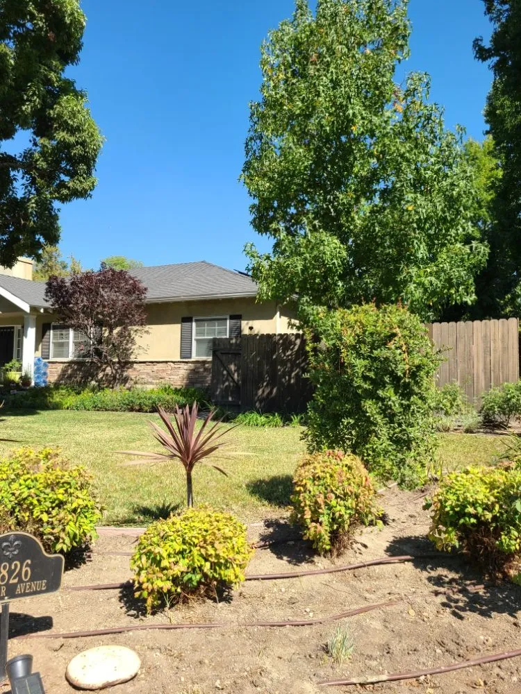 Professional residential landscaping for year-round maintenance in Temple City, CA by Medina's Gardening