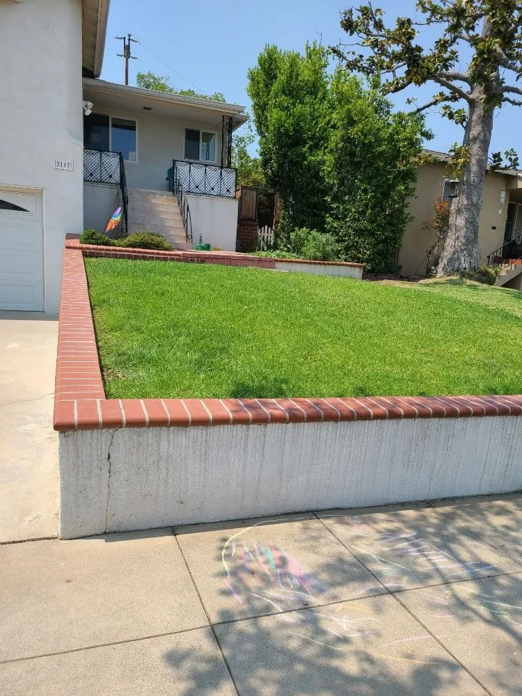 Expert lawn care service in Temple City, CA by Medina's Gardening