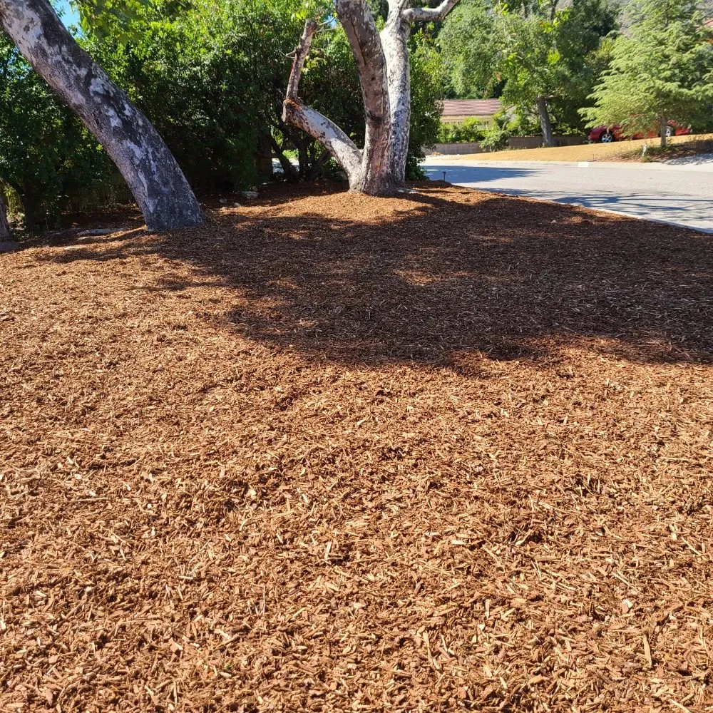 Custom garden landscaping experts serving Temple City, CA - Medina's Gardening