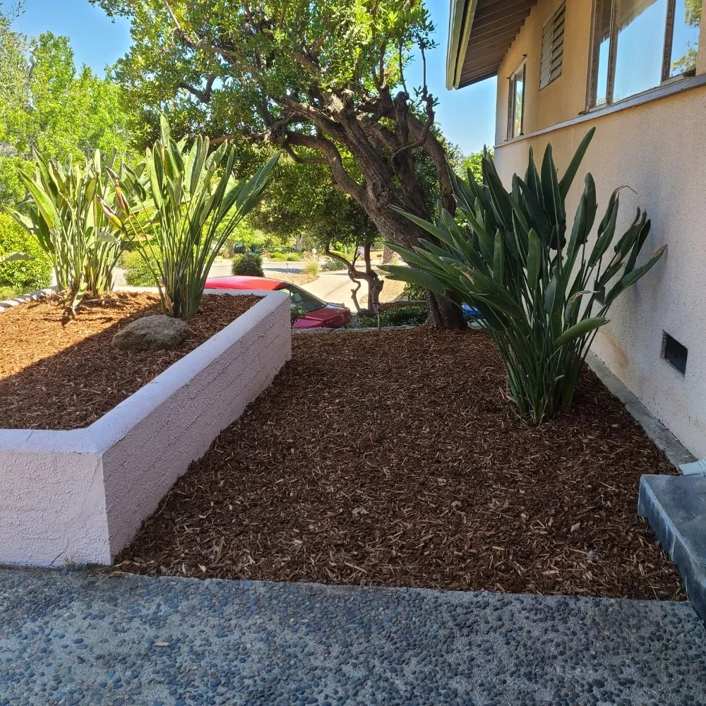 Reliable yard cleanup service for year-round maintenance in Temple City, CA by Medina's Gardening