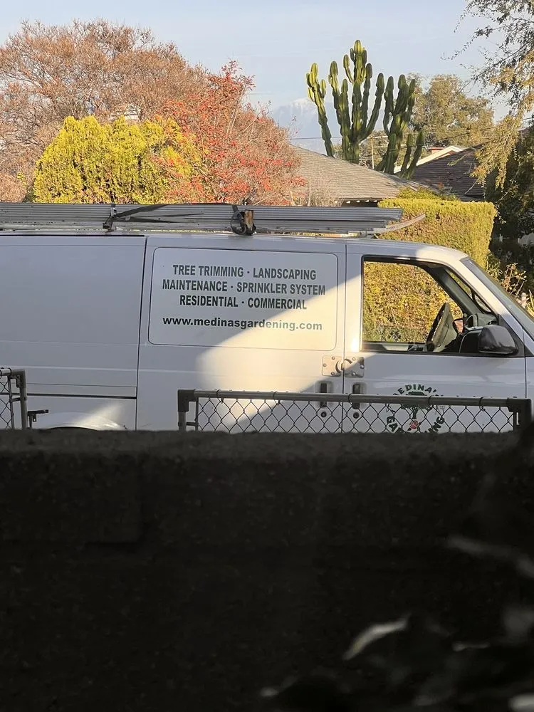 Professional lawn care service experts serving Temple City, CA - Medina's Gardening