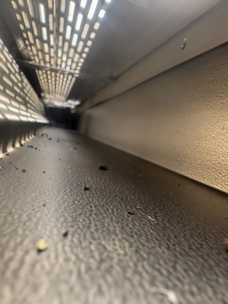 Professional garden landscaping in Minneapolis, MN by Medina’s Home Service