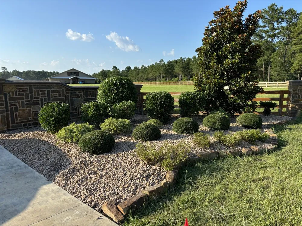 Professional yard maintenance in Magnolia, TX by Medinas Landscape Irrigation