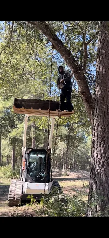 Professional residential landscaping in Magnolia, TX by Medinas Landscape Irrigation