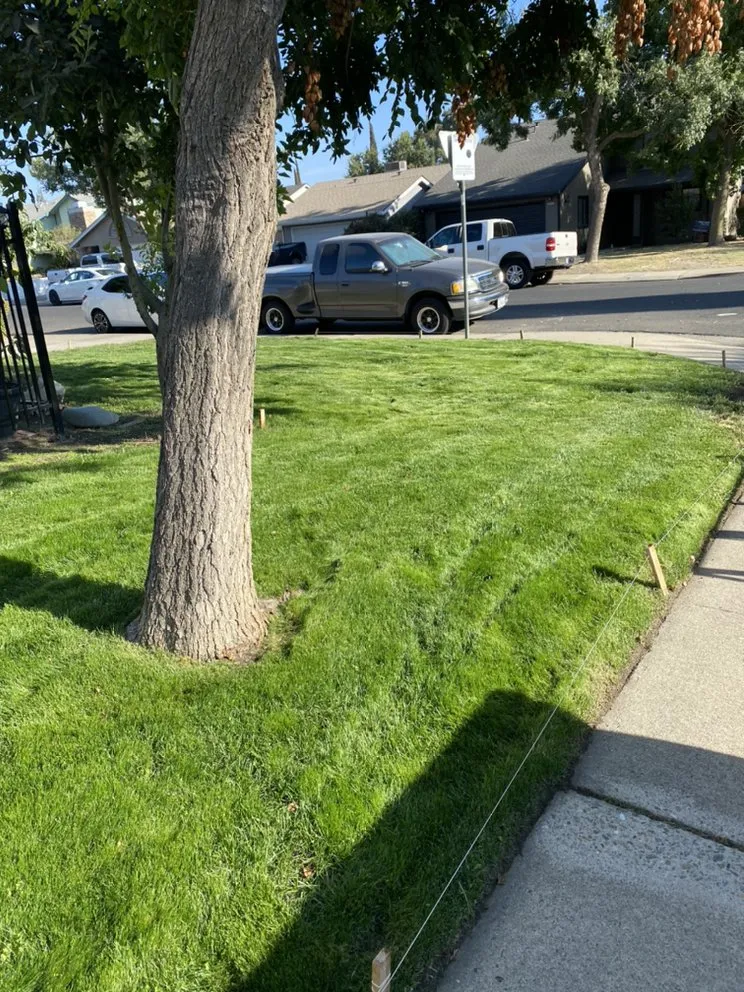 Local landscape design for residential properties across Merced, CA - Medina’s Landscape