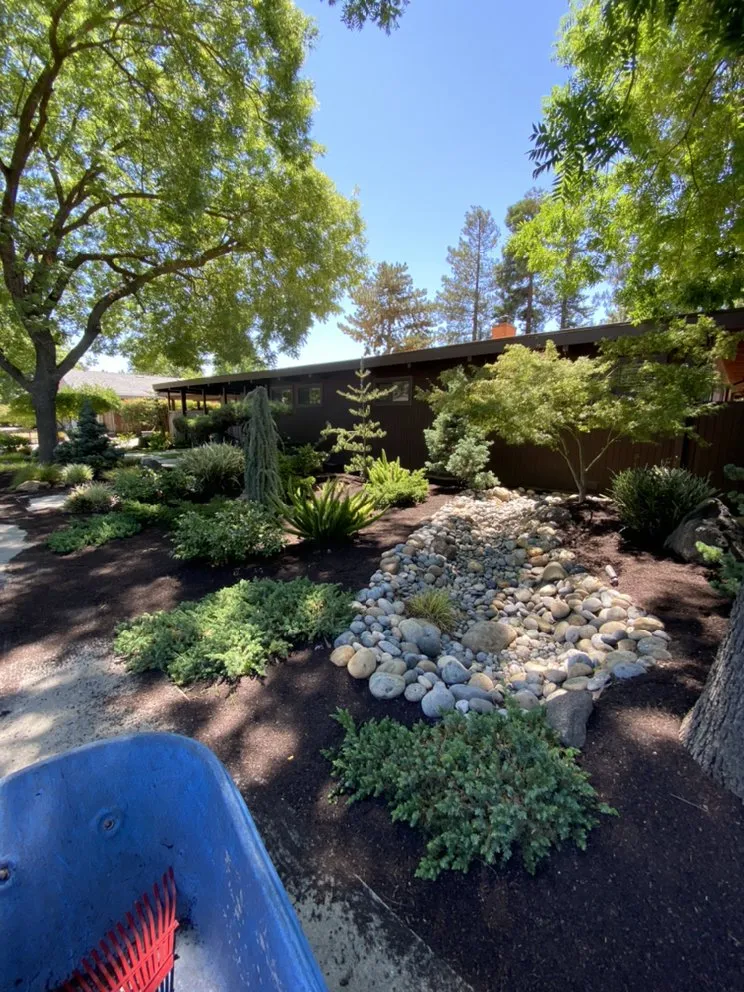 Top-rated yard maintenance for year-round maintenance in Merced, CA by Medina’s Landscape