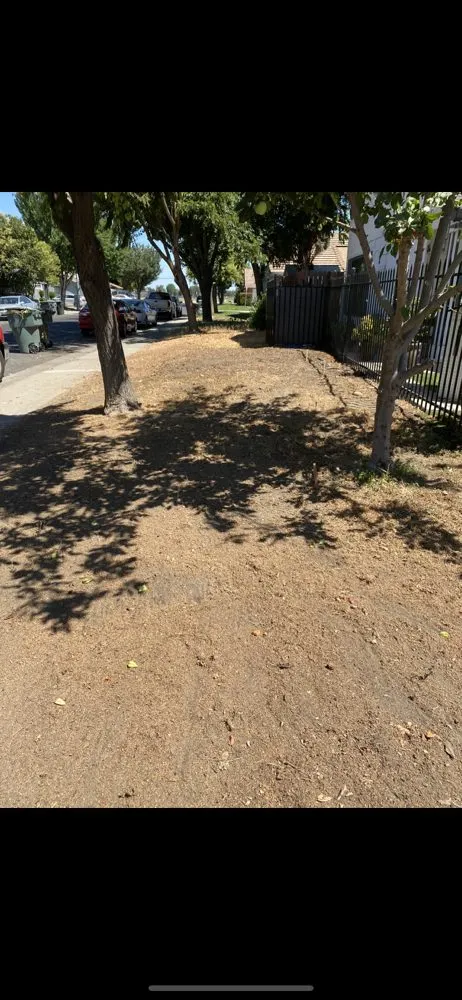 Affordable landscape design near you across Merced, CA - Medina’s Landscape