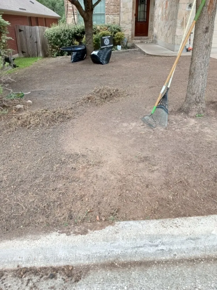 Local outdoor landscaping for beautiful yards in Austin, TX by Medina's Landscaping