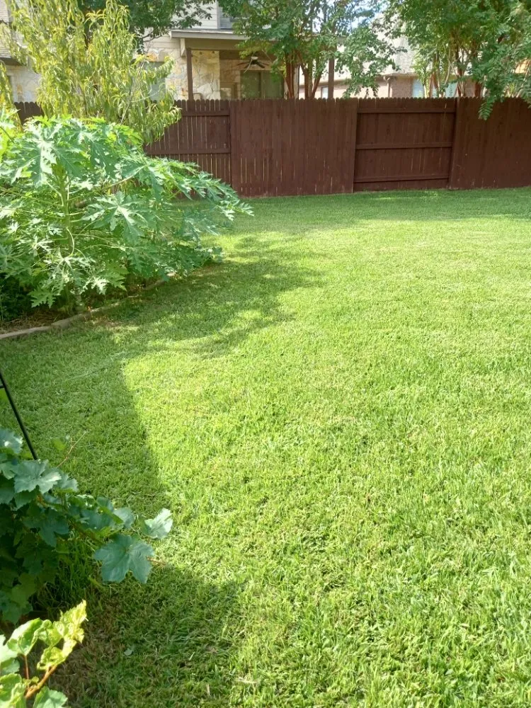 Affordable residential landscaping for residential properties in Austin, TX by Medina's Landscaping