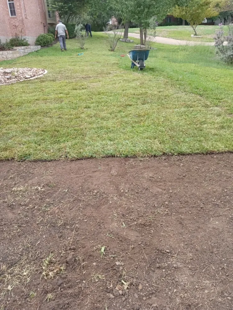 Trusted yard maintenance for beautiful yards across Austin, TX - Medina's Landscaping