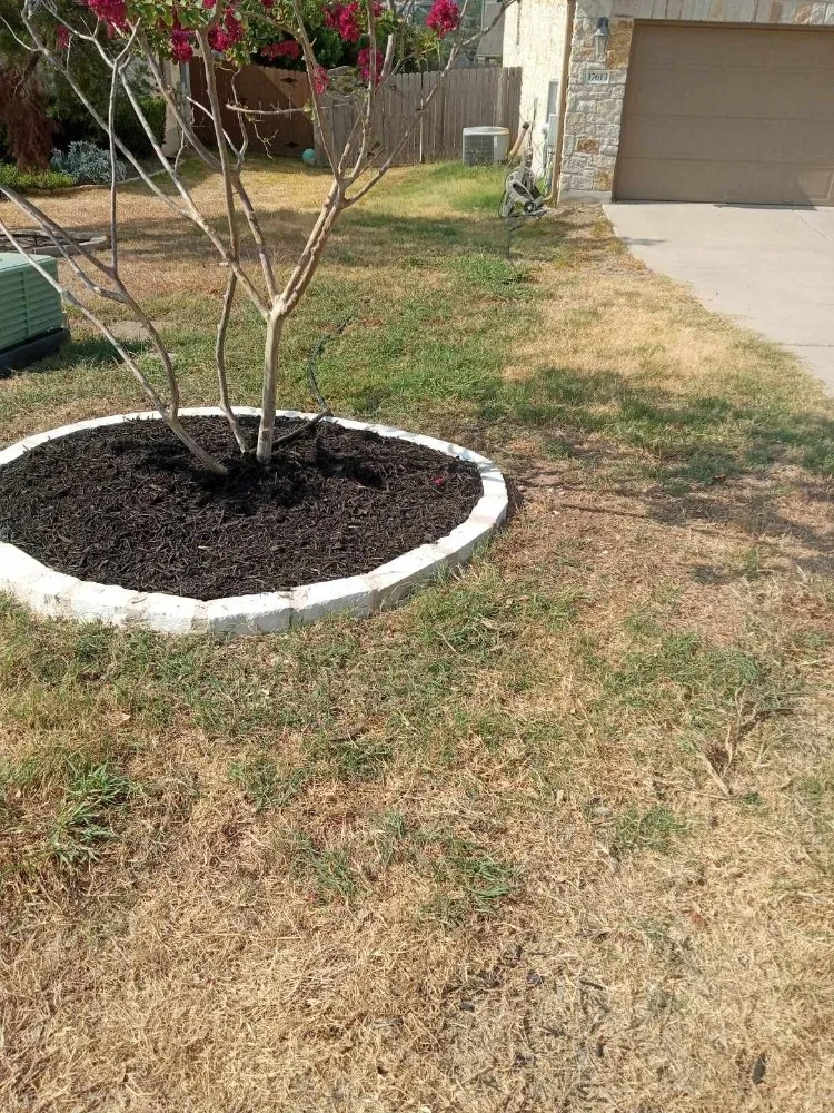 Custom landscaping services in Austin, TX by Medina's Landscaping