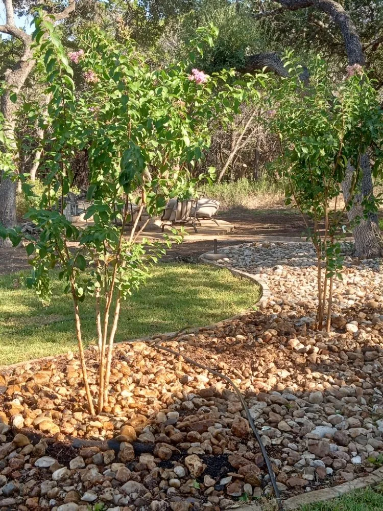 Local outdoor landscaping in Austin, TX - Medina's Landscaping