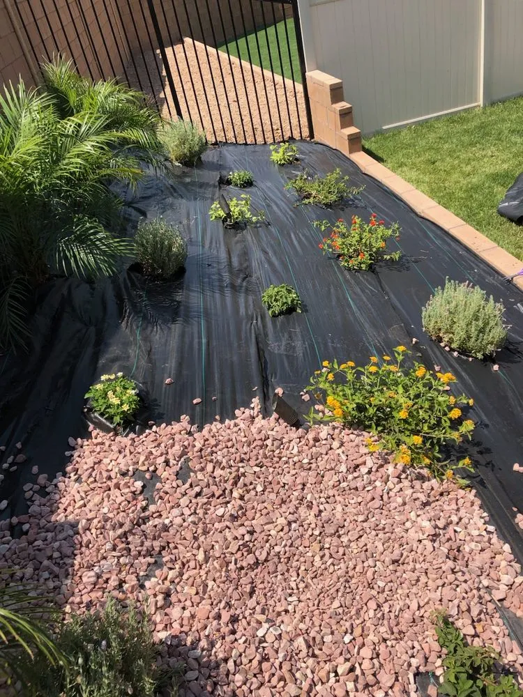 Professional residential landscaping for residential properties across Newhall, CA - Medina's Landscaping