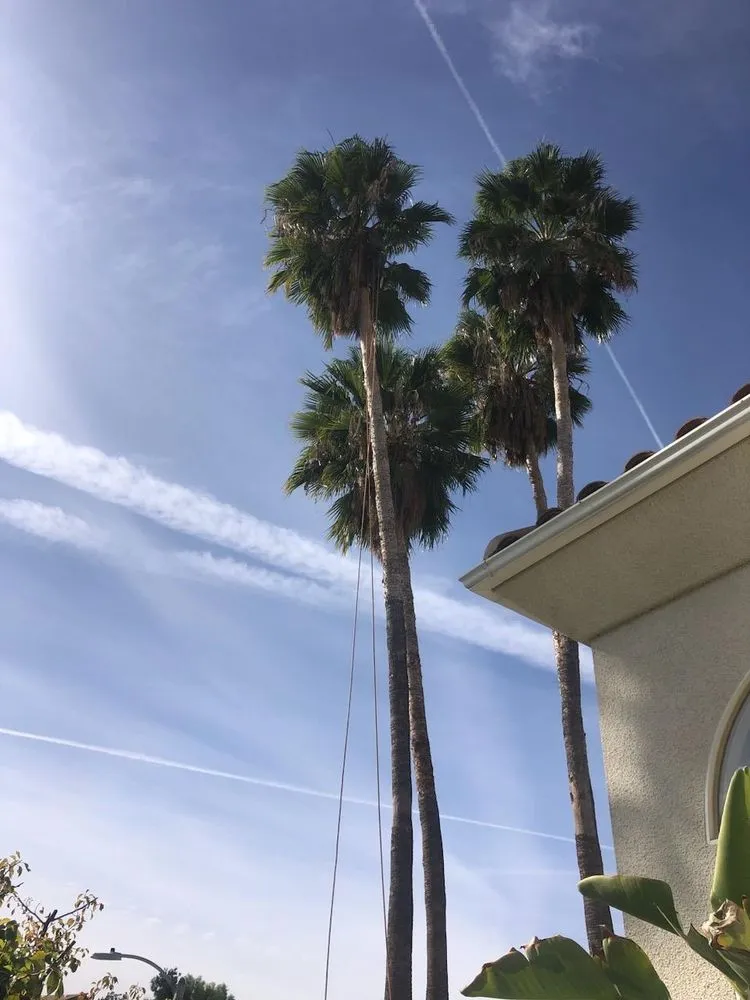 Professional lawn mowing service for beautiful yards across Newhall, CA - Medina's Landscaping