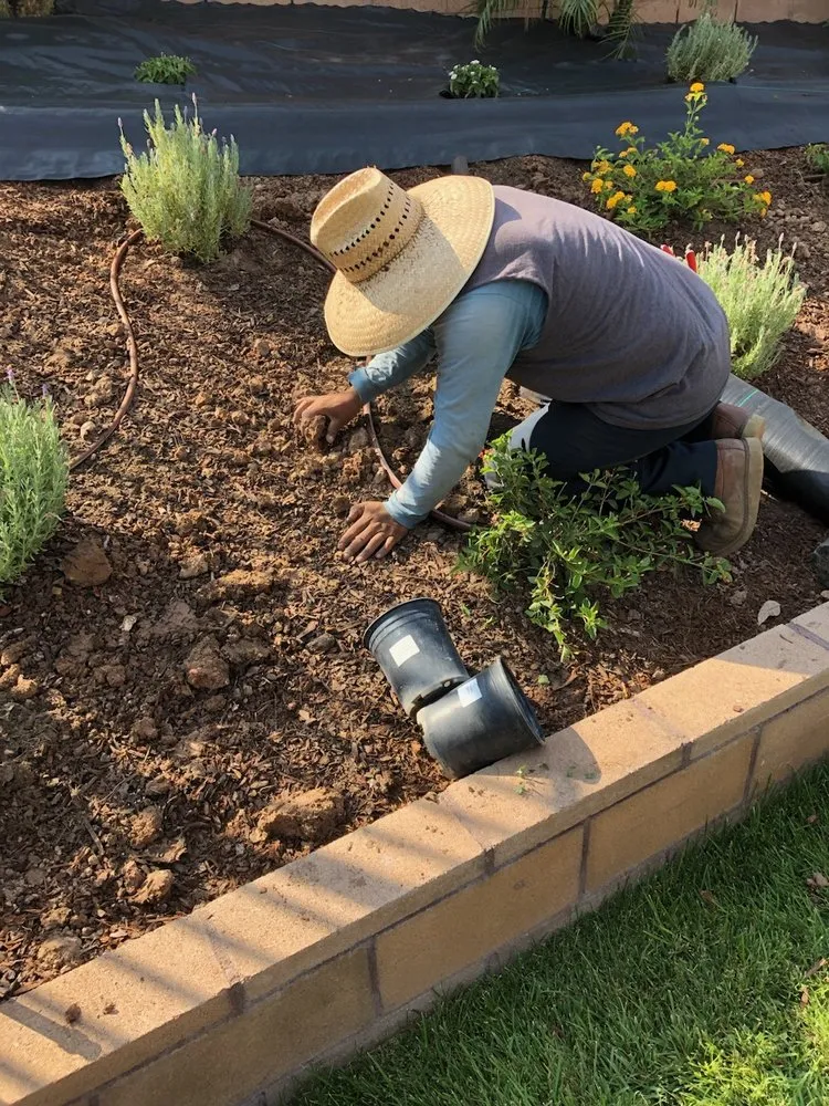 Affordable yard cleanup service in Newhall, CA - Medina's Landscaping