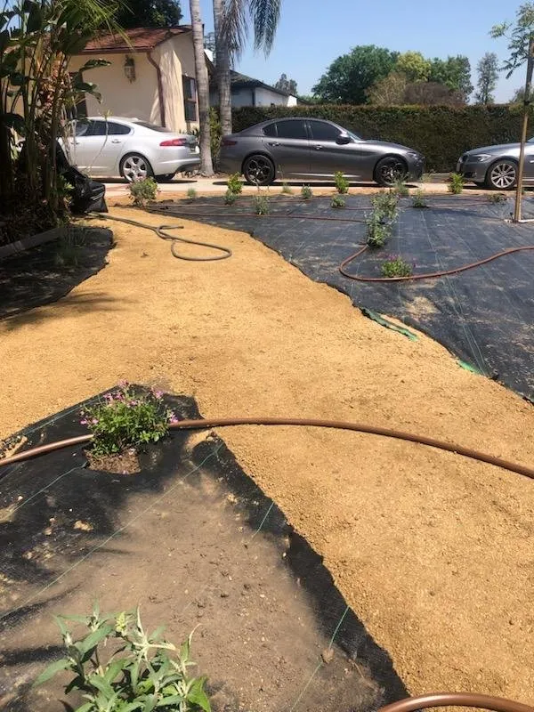 Top-rated garden landscaping in Newhall, CA - Medina's Landscaping