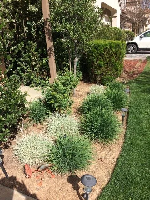 Trusted yard maintenance in Newhall, CA - Medina's Landscaping