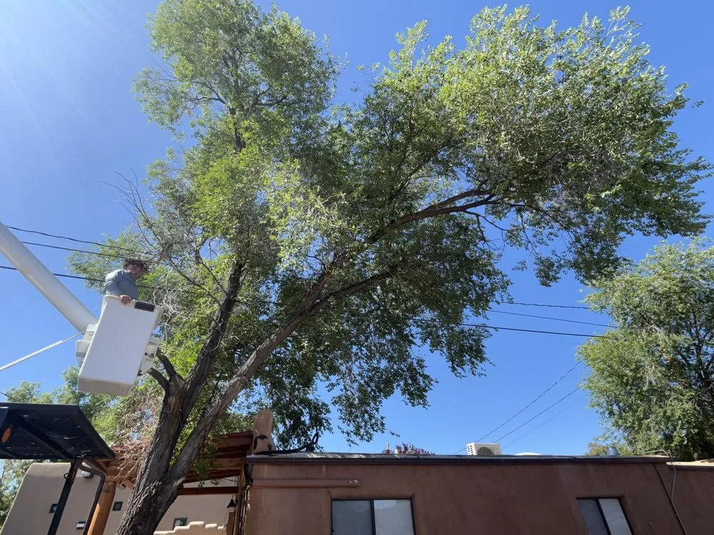 Expert yard maintenance in Santa Fe, NM by Medina's Landscaping