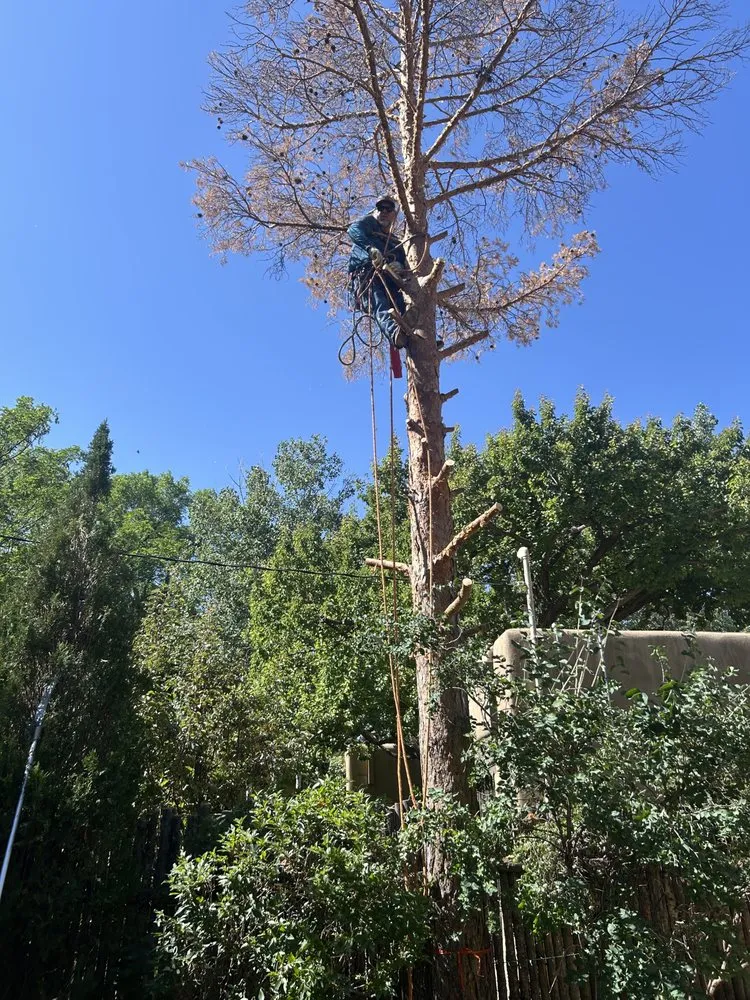 Professional yard cleanup service near you in Santa Fe, NM by Medina's Landscaping