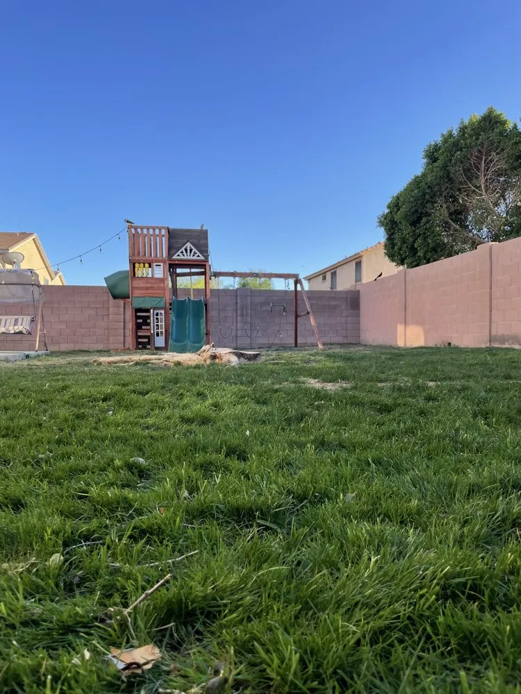 Local landscape design for year-round maintenance across Tolleson, AZ - Medinas Landscaping