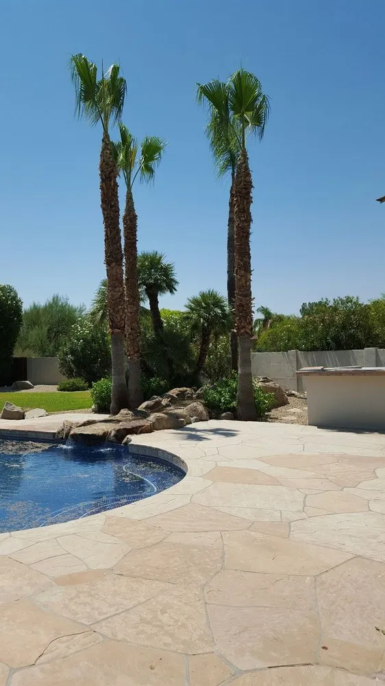 Top-rated yard maintenance in Tolleson, AZ - Medinas Landscaping
