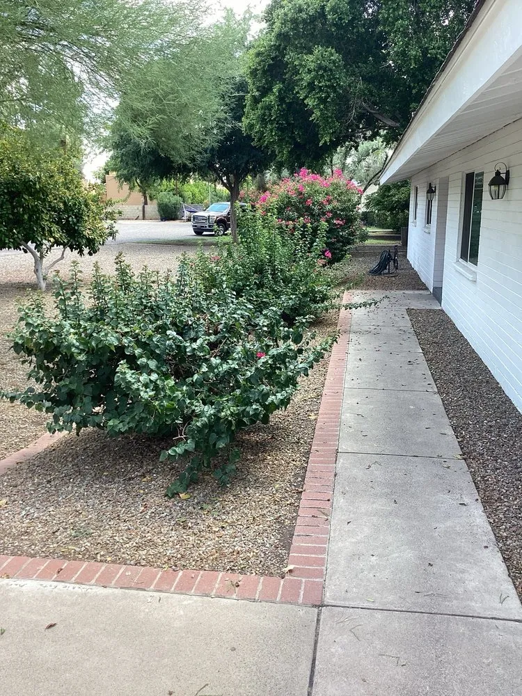 Expert yard maintenance in Tolleson, AZ - Medinas Landscaping