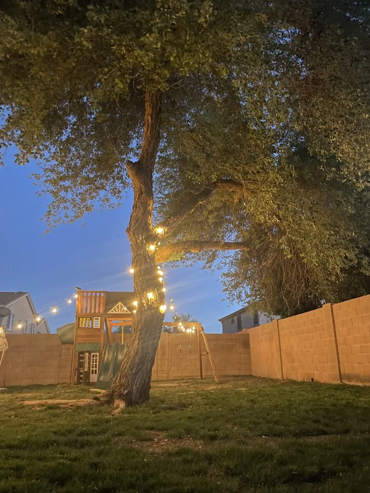 Reliable lawn care service for beautiful yards across Tolleson, AZ - Medinas Landscaping