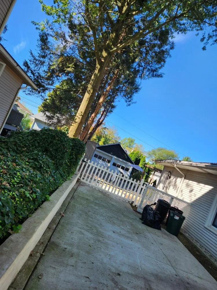 Custom yard cleanup service in Woodbury Heights, NJ - Medina's Landscaping