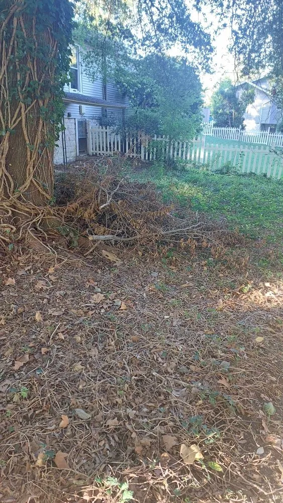 Affordable residential landscaping for beautiful yards across Woodbury Heights, NJ - Medina's Landscaping