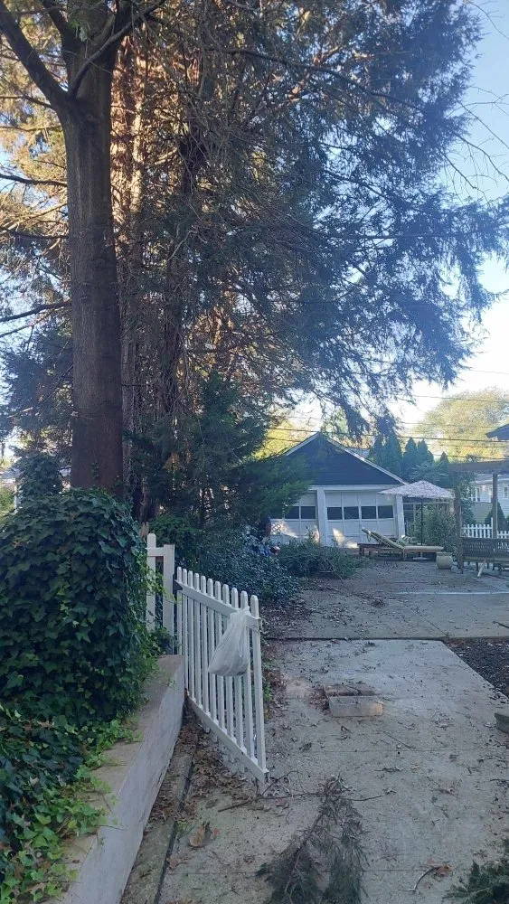 Reliable landscape installation in Woodbury Heights, NJ by Medina's Landscaping