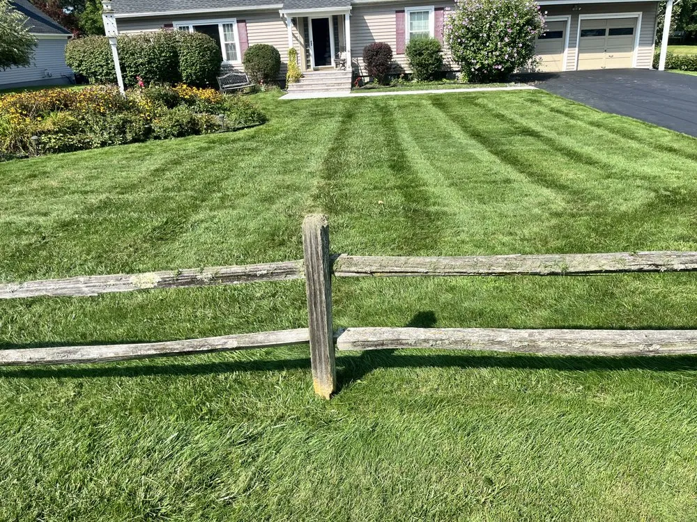Expert lawn care service in Minoa, NY - Medina's Lawn & Snow