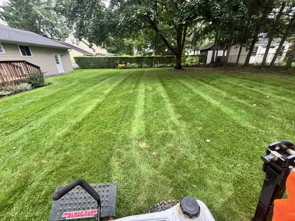 Trusted lawn care service in Minoa, NY by Medina's Lawn & Snow