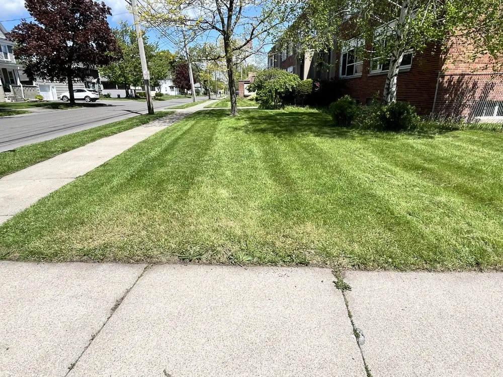 Professional yard cleanup service in Minoa, NY by Medina's Lawn & Snow