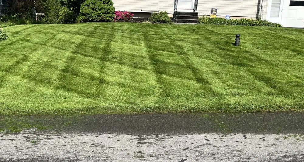 Trusted landscape design experts serving Minoa, NY - Medina's Lawn & Snow