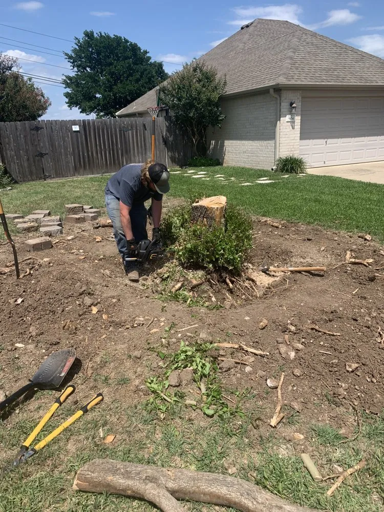 Top-rated yard cleanup service for year-round maintenance across Gatesville, TX - Medinas Lawncare Service