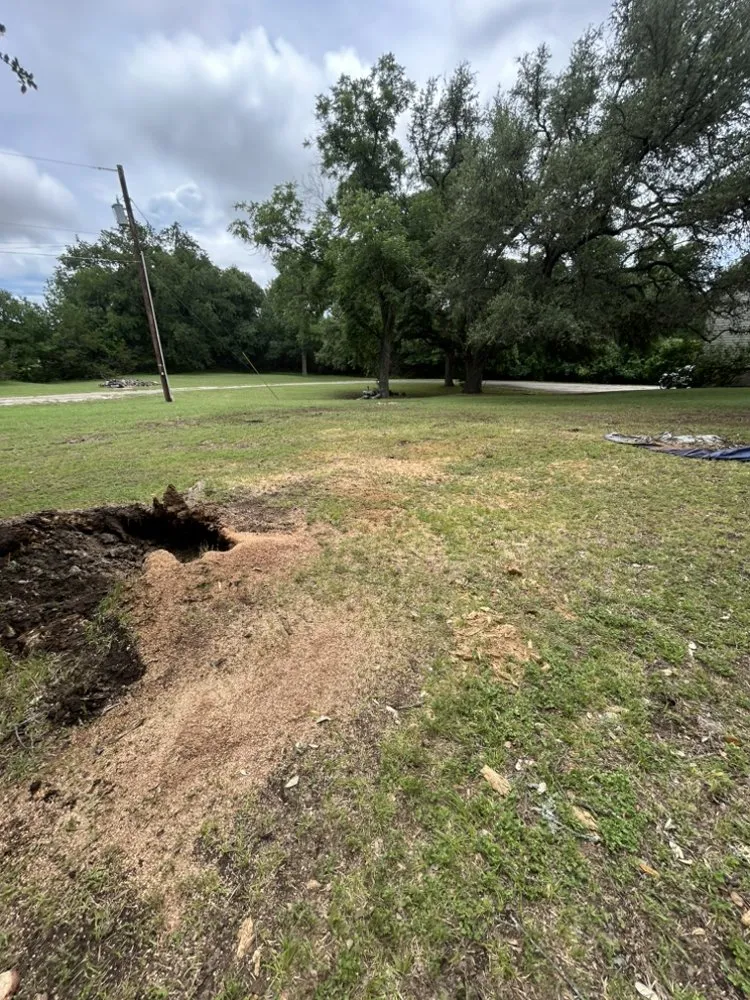 Local yard cleanup service in Gatesville, TX - Medinas Lawncare Service