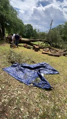 Medinas Lawncare Service