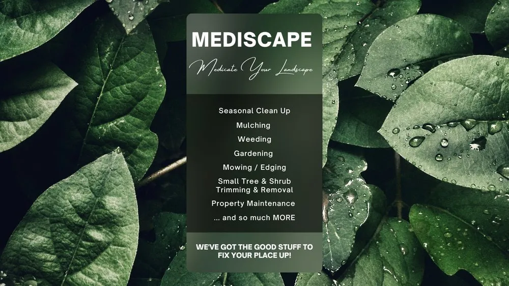 Local lawn care service for year-round maintenance across Rochester, NY - MediScape