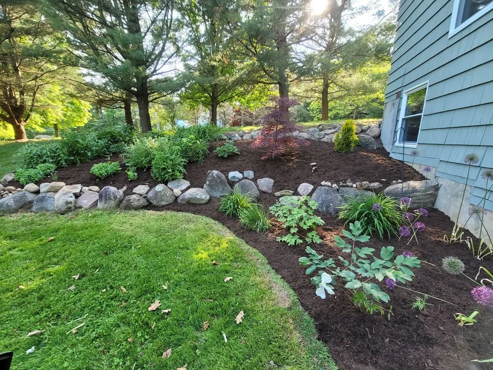 Local yard maintenance in Rochester, NY - MediScape