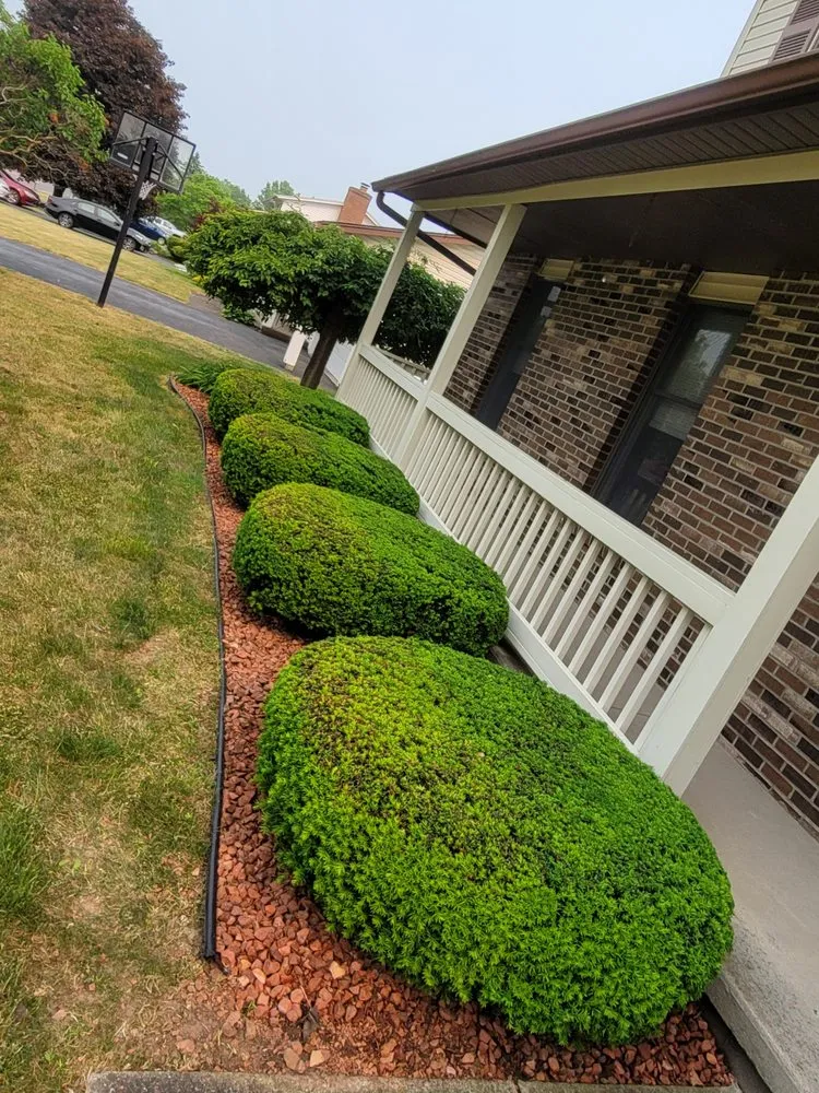 Affordable yard cleanup service for outdoor upgrades across Rochester, NY - MediScape